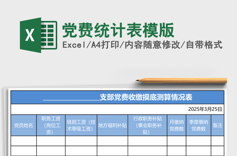 2025党费统计表模版