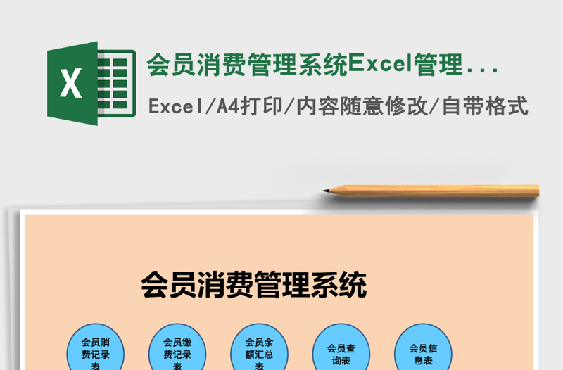 会员消费管理系统下载Excel管理系统下载