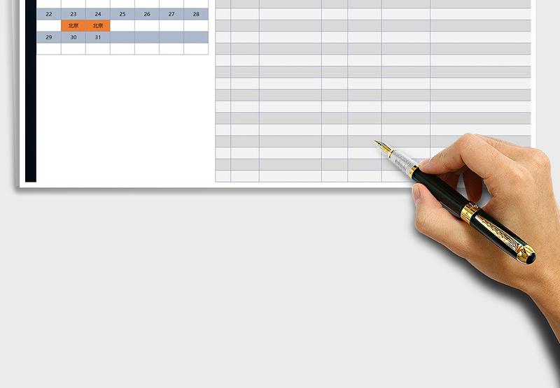 2025年领导行程计划表
