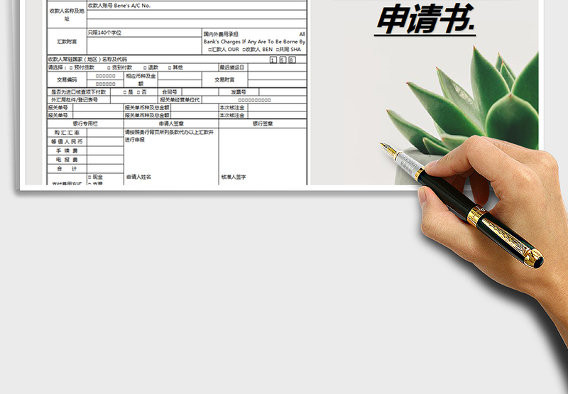 2024年银行境外汇款申请书