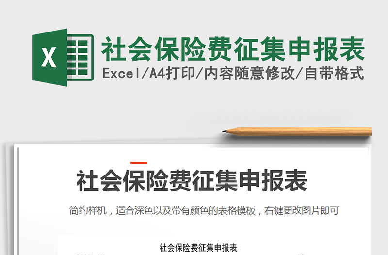 2025年社会保险费征集申报表