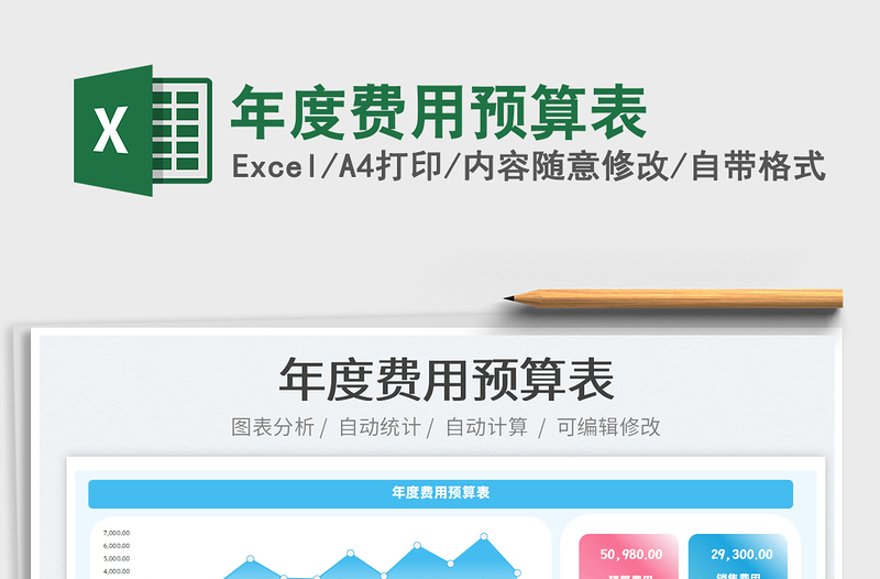 2025年度费用预算表免费下载