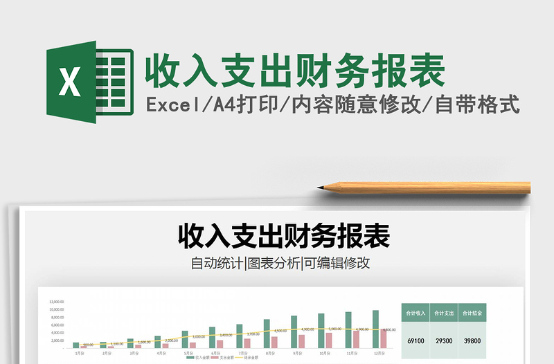 2025年收入支出财务报表