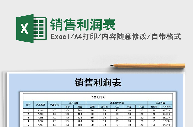 2025年销售利润表