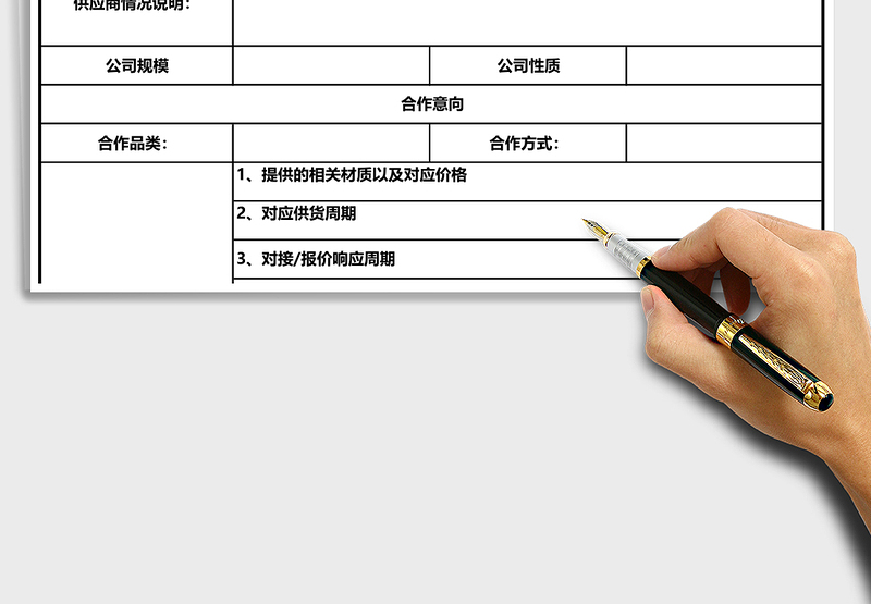 2025年供应商基本信息表