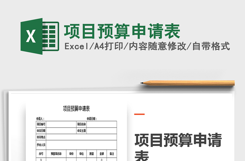 2025年项目预算申请表