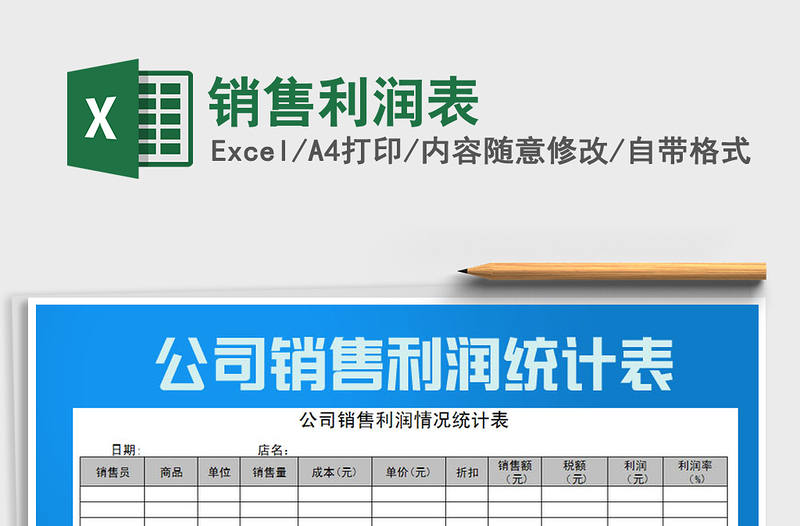 2025年销售利润表
