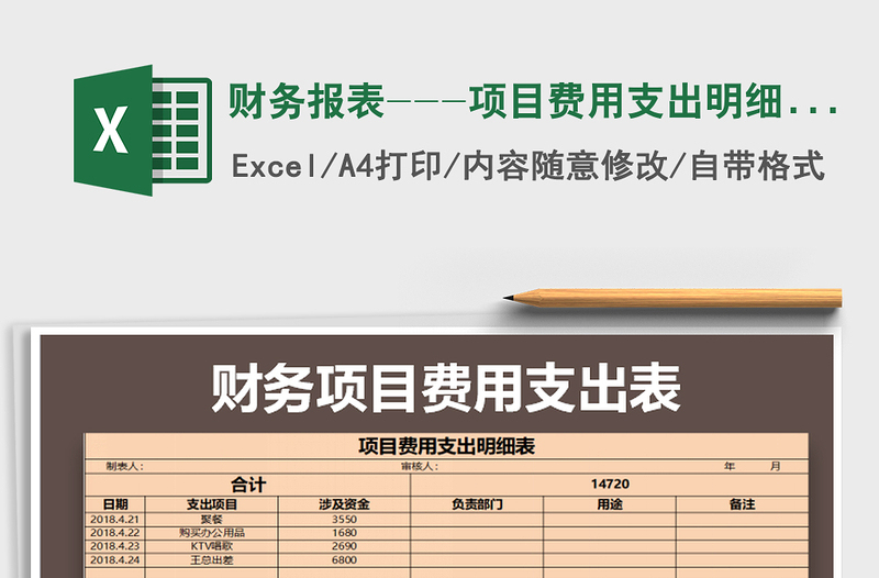 2025年财务报表---项目费用支出明细表免费下载