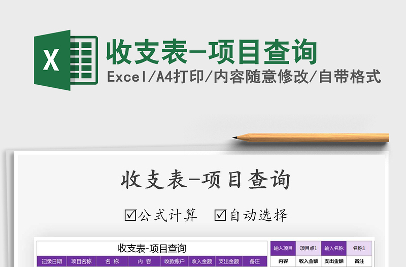 2025年收支表-项目查询