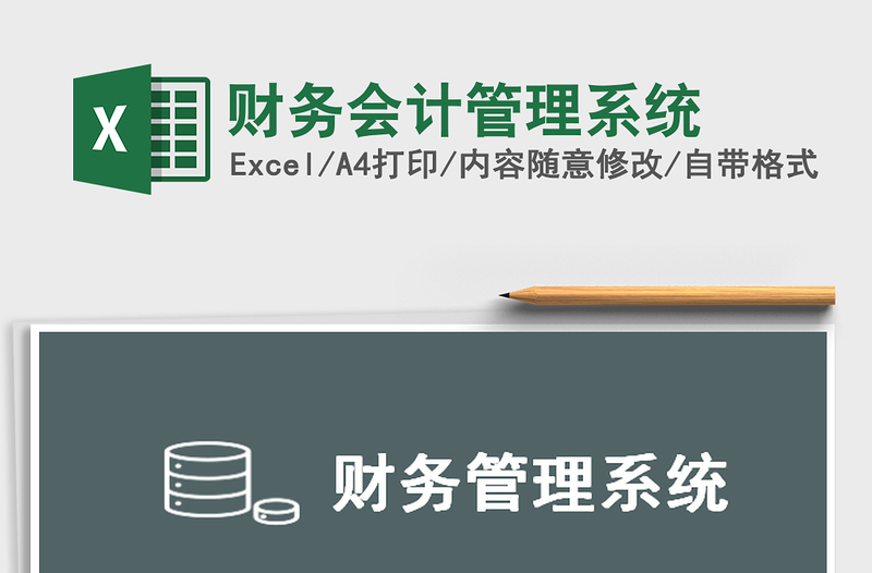 2025年财务会计管理系统