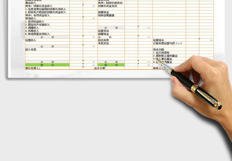 2025年收入支出明细表