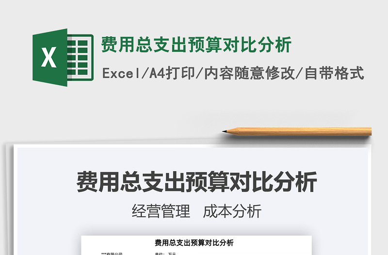 2025费用总支出预算对比分析免费下载