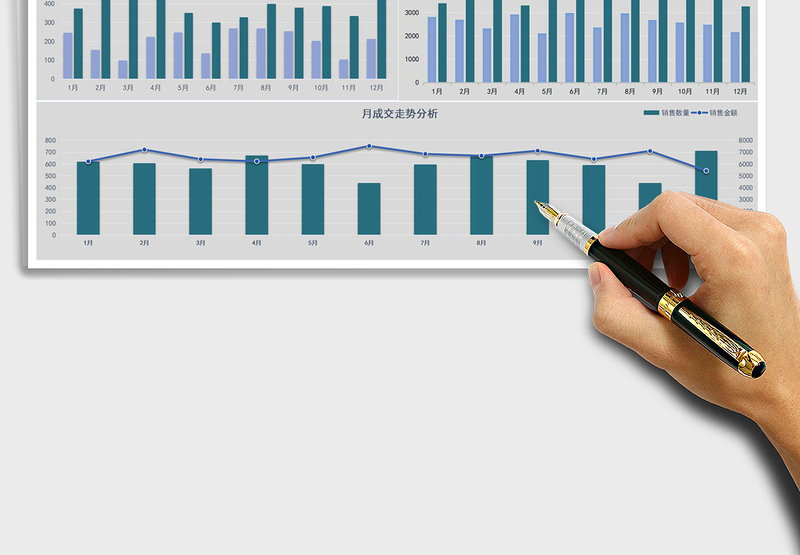 销量可视化图表