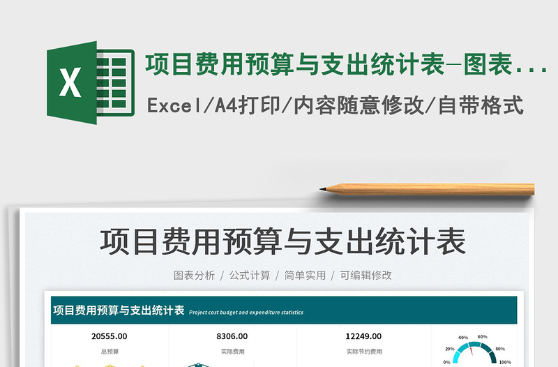 2025项目费用预算与支出统计表-图表分析