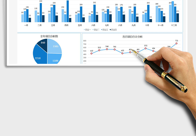 2025年全年项目收入图表分析