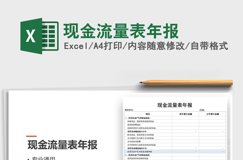 2025年现金流量表年报