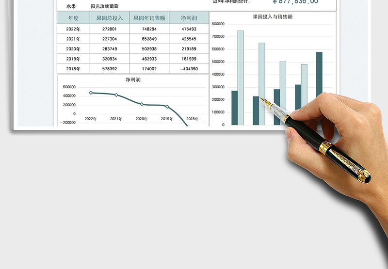 2025果园年收益对比统计表免费下载