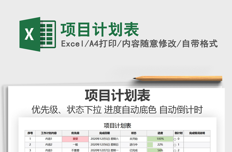 2025年项目计划表