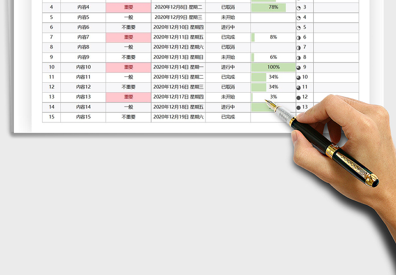 2025年项目计划表
