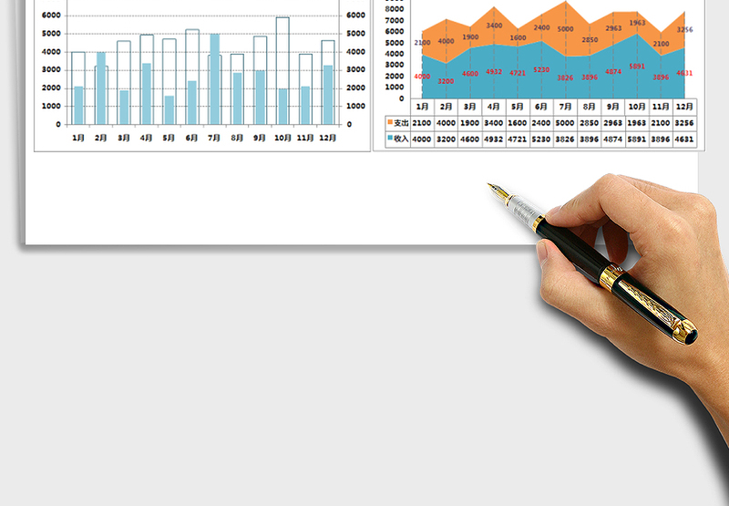 2025年年度收支对比