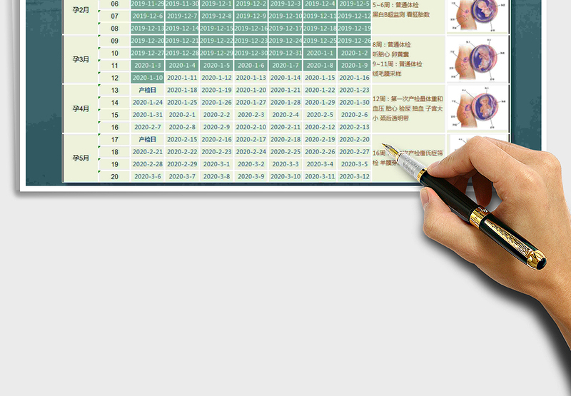 2021年怀孕日历表