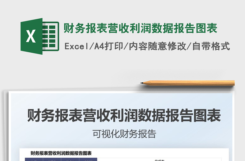 2025财务报表营收利润数据报告图表免费下载