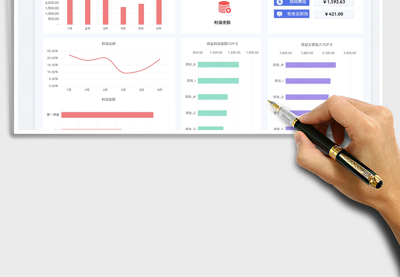 2025半年度项目利润表-可视化图表免费下载