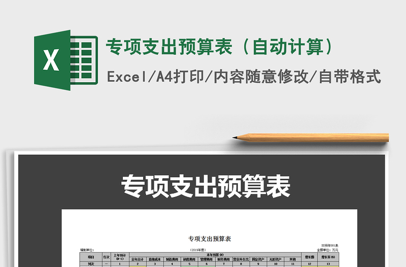 2025年专项支出预算表（自动计算）