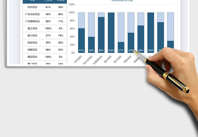 2025年项目完成进度图表