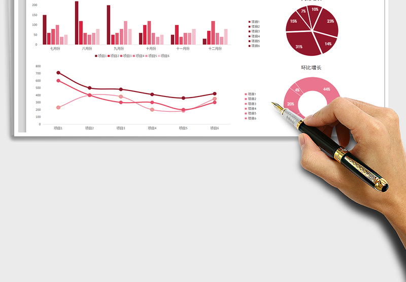 2025年销售项目利润分析明细表
