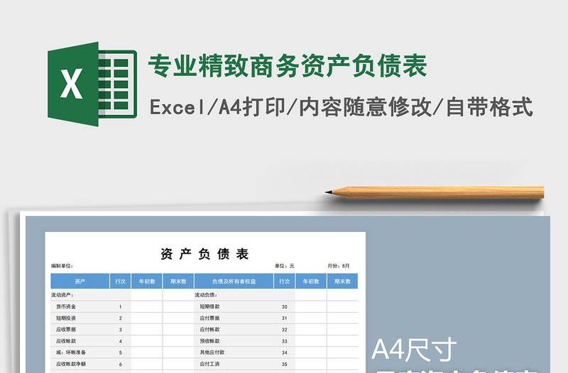 2025年专业精致商务资产负债表