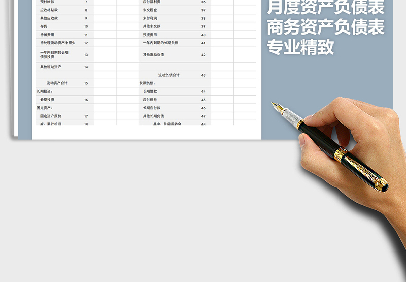 2025年专业精致商务资产负债表