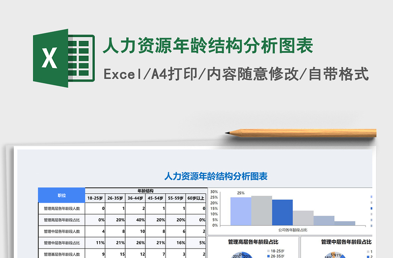 人力资源年龄结构分析图表