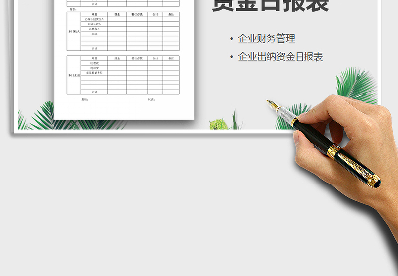 2025年资金日报表免费下载