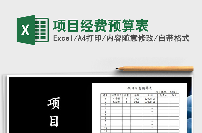 2025年项目经费预算表