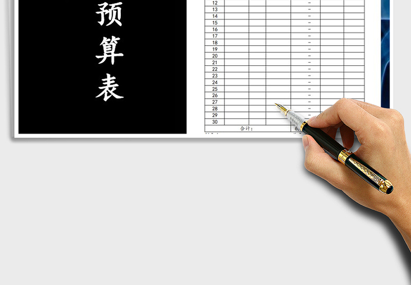 2025年项目经费预算表