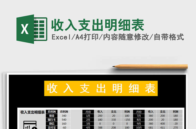 2025年收入支出明细表