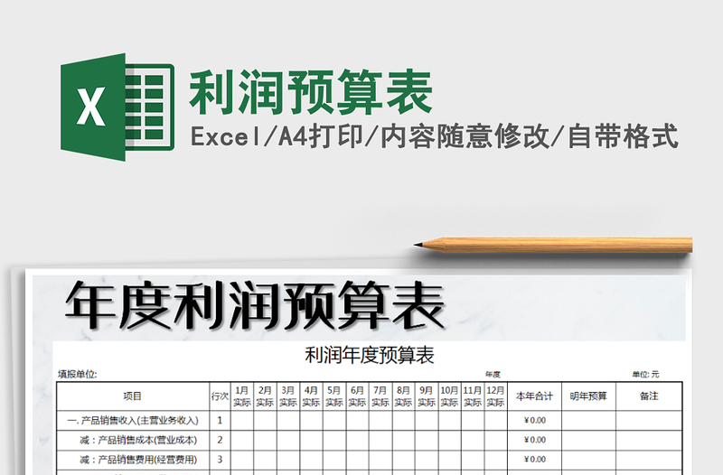 2025年利润预算表