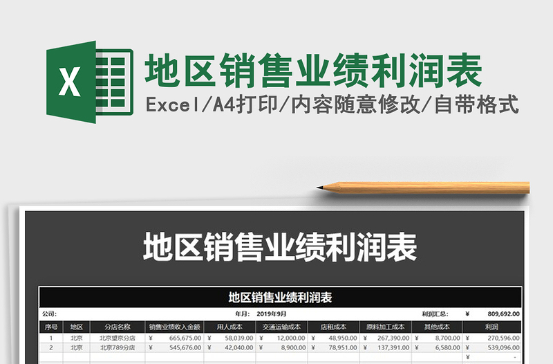 2025年地区销售业绩利润表