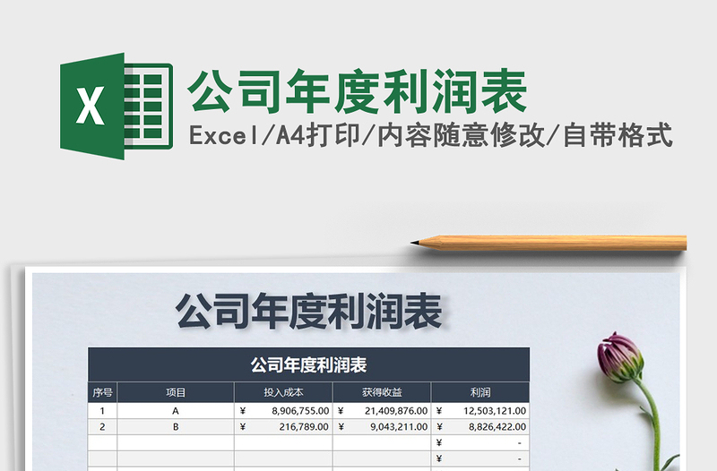 2025年公司年度利润表