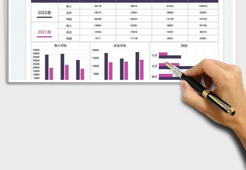 2025收支利润年度对比图免费下载