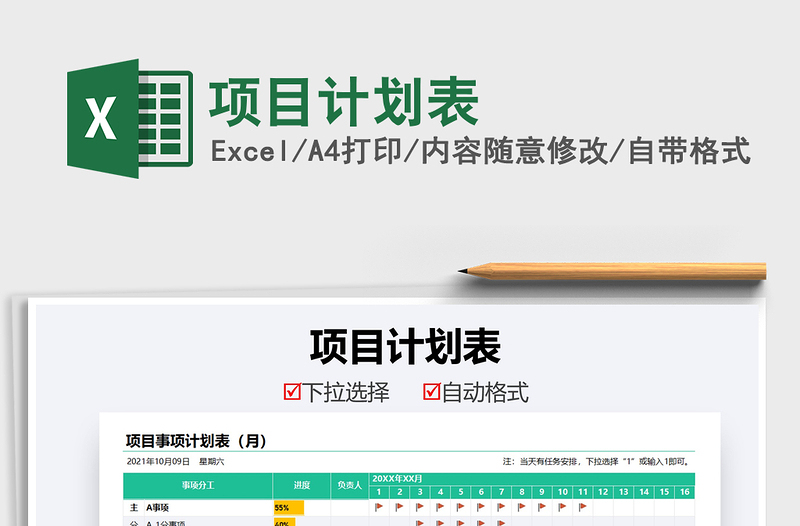 2025项目计划表免费下载