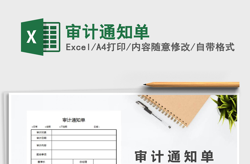 2025年审计通知单