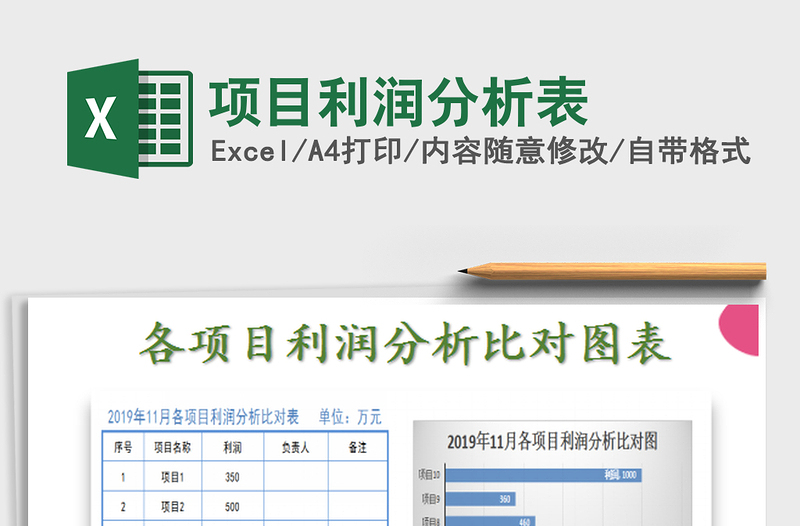 2025项目利润分析表免费下载