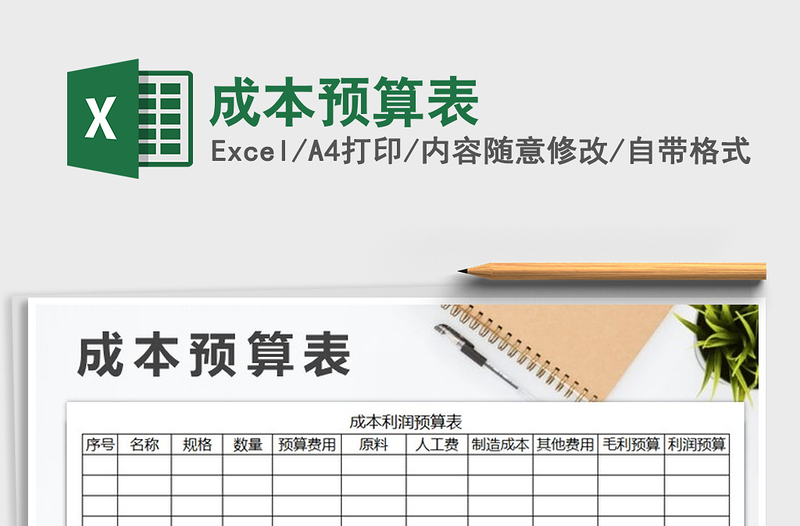 2025年成本预算表