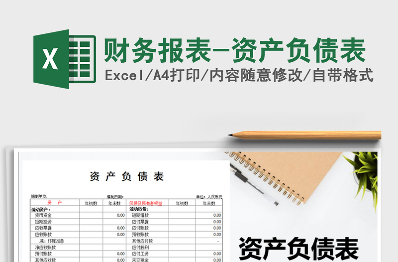 2025年财务报表-资产负债表