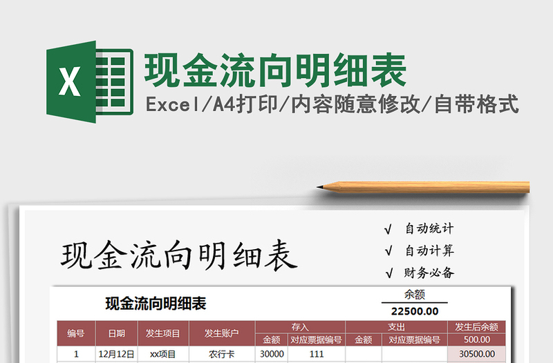 2025年现金流向明细表