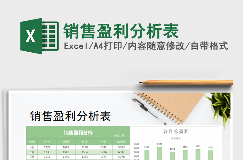 2025年销售盈利分析表