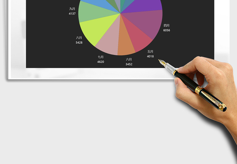 2025年饼形图数据图表