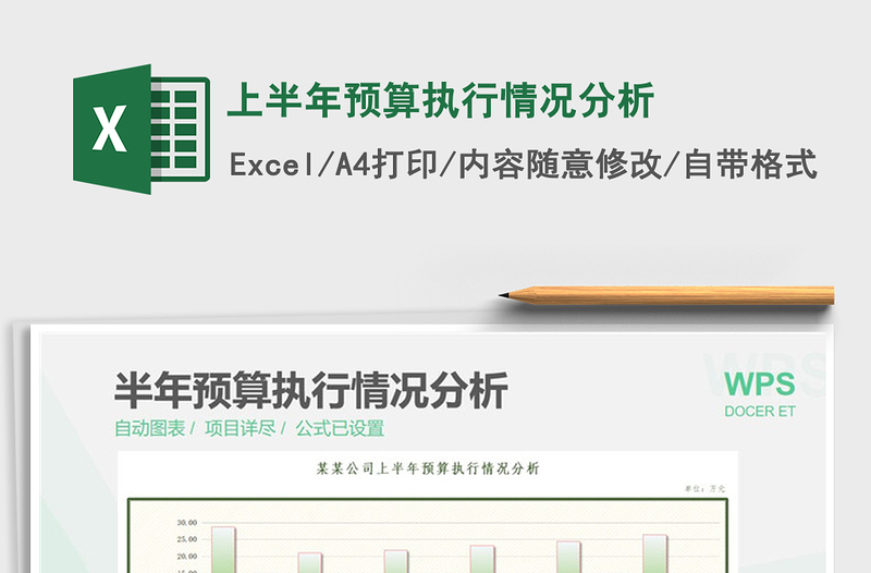2025上半年预算执行情况分析免费下载